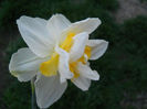 DSCN1060_049