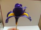iris polymer clay 009