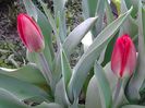 20140404_082729