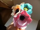 anemone roz 004
