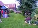 DSCF1785