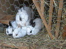 IMG_0016 (2)