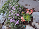 DSC02601
