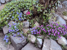 DSC02622