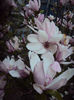 DSC02557
