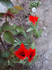 DSC02586