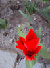 DSC02588