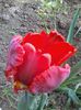 20140404_174935