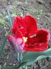 20140404_174940