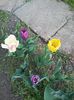 20140404_175127