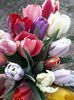 20140404_181343