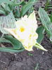 IMG_20140404_091831