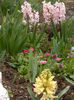 2014-04-05-3823