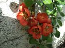 poze 2014 202/4.04