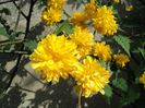 poze 2014 214
