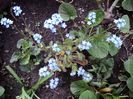 poze 2014 210