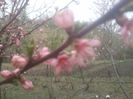 2014-04-03 12.53.17