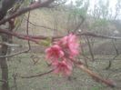 2014-04-03 12.53.38