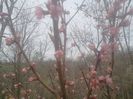 2014-04-03 12.55.34