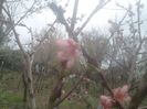 2014-04-03 12.56.18