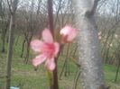 2014-04-03 13.56.37