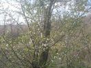 2014-04-03 14.29.33