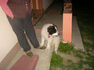 SANY0089