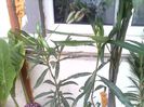 IMG_20140406_133915