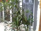 IMG_20140406_133858