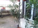 IMG_20140406_133855