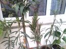 IMG_20140406_133923