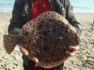 calcan la marea neagra
