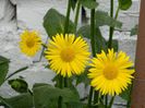 DSCN5670
