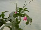 DSCN5801