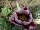 DSC01574
