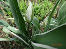 DSC01571