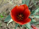 DSC01558
