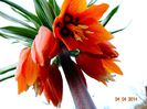 DSC01475
