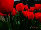 DSC01533