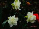 DSC01512