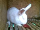 20140323(007)