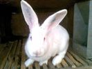 20140323(012)