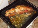DSCF5785