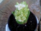 aprilie 2014 005