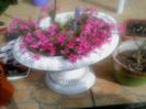 aprilie 2014 004