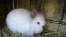WP_20140406_024