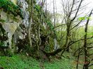 DSC01635