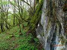 DSC01629