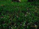 DSC01659