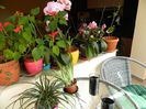 DSCN1571